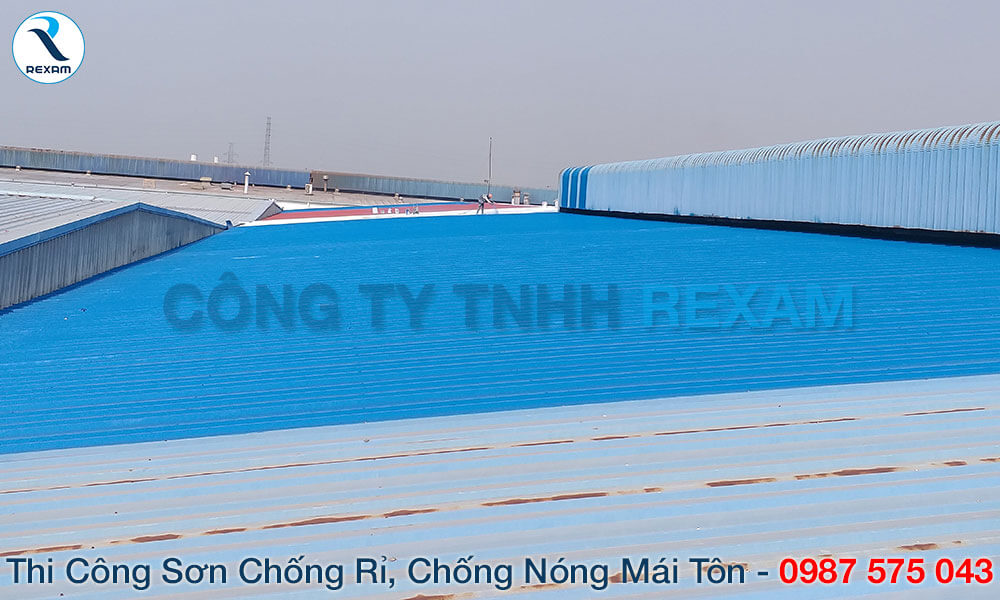 Đến với Rexam để sử dụng dịch vụ thi công sơn mái tôn giá rẻ tại TPHCM